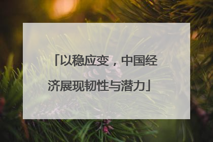 以稳应变,中国经济展现韧性与潜力