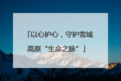 以心护心，守护雪域高原“生命之脉”