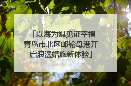 以海为媒见证幸福 青岛市北区邮轮母港开启浪漫婚旅新体验