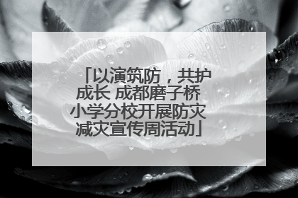 以演筑防，共护成长 成都磨子桥小学分校开展防灾减灾宣传周活动
