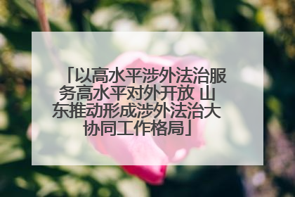 以高水平涉外法治服务高水平对外开放 山东推动形成涉外法治大协同工作格局