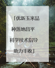 优新玉米品种落地昌平 科学技术指导助力丰收