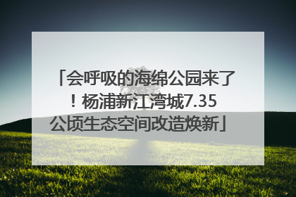 会呼吸的海绵公园来了！杨浦新江湾城7.35公顷生态空间改造焕新