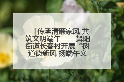 传承清廉家风 共筑文明端午——舞阳街道长春村开展“树道德新风 扬端午文化”主题活动
