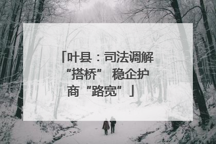 叶县：司法调解“搭桥” 稳企护商“路宽”