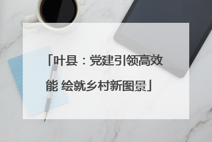 叶县：党建引领高效能 绘就乡村新图景