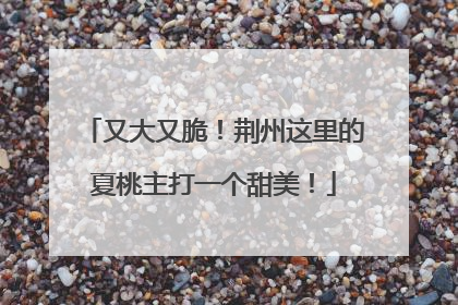 又大又脆！荆州这里的夏桃主打一个甜美！