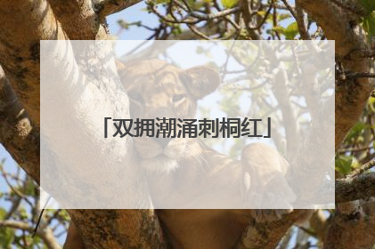 双拥潮涌刺桐红