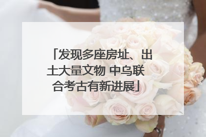 发现多座房址、出土大量文物 中乌联合考古有新进展