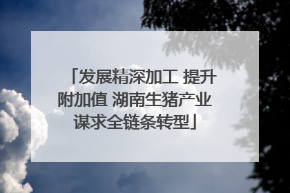发展精深加工 提升附加值 湖南生猪产业谋求全链条转型
