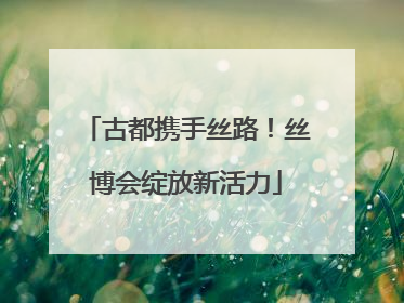 古都携手丝路！丝博会绽放新活力