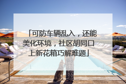 可防车辆乱入，还能美化环境，社区胡同口上新花箱巧解难题
