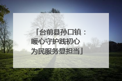 台前县孙口镇：暖心守护践初心 为民服务显担当
