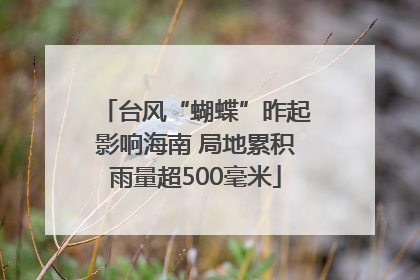 台风“蝴蝶”昨起影响海南 局地累积雨量超500毫米