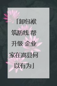 卸包袱 筑防线 帮升级 企业家在嵩县何以有为