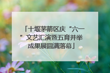 十堰茅箭区庆“六一”文艺汇演暨五育并举成果展圆满落幕