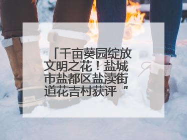 千亩葵园绽放文明之花！盐城市盐都区盐渎街道花吉村获评“全国文明村”