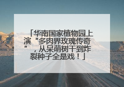 华南国家植物园上演“多肉界玫瑰传奇”，从呆萌树干到炸裂种子全是戏！