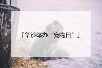 华沙举办“宠物日”