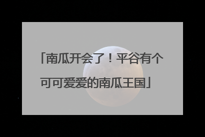 南瓜开会了！平谷有个可可爱爱的南瓜王国