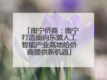 南宁侨商：南宁打造面向东盟人工智能产业高地给侨商提供新机遇
