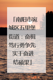 南阳市宛城区五里堡街道：奋楫笃行勇争先 实干奋进结硕果