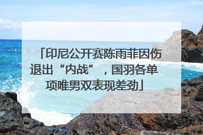 印尼公开赛陈雨菲因伤退出“内战”，国羽各单项唯男双表现差劲