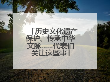 历史文化遗产保护、传承中华文脉……代表们关注这些事