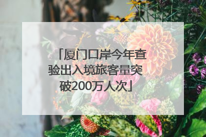 厦门口岸今年查验出入境旅客量突破200万人次