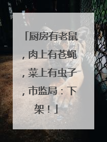 厨房有老鼠，肉上有苍蝇，菜上有虫子，市监局：下架！
