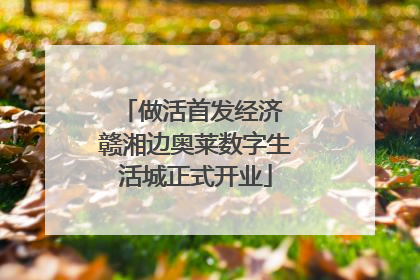 做活首发经济 赣湘边奥莱数字生活城正式开业