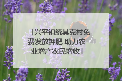 兴平镇统其克村免费发放钾肥 助力农业增产农民增收