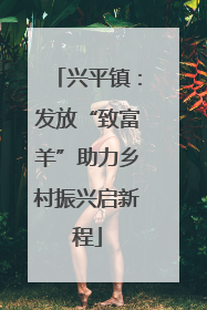 兴平镇：发放“致富羊”助力乡村振兴启新程