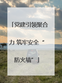党建引领聚合力 筑牢安全“防火墙”