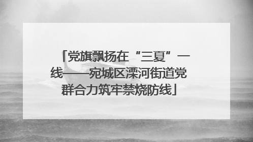 党旗飘扬在“三夏”一线——宛城区溧河街道党群合力筑牢禁烧防线