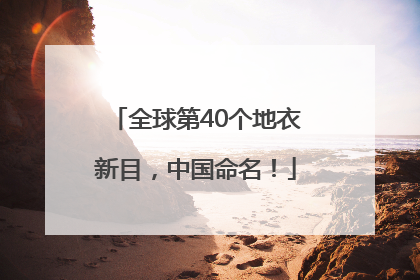 全球第40个地衣新目，中国命名！