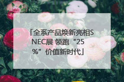 全系产品焕新亮相SNEC展 领跑“25%”价值新时代