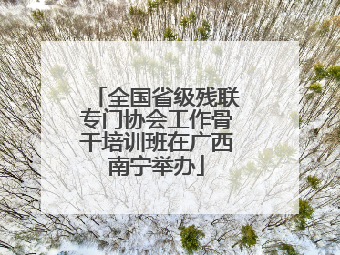 全国省级残联专门协会工作骨干培训班在广西南宁举办