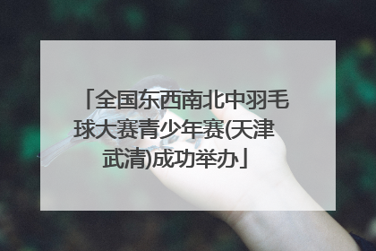 全国东西南北中羽毛球大赛青少年赛(天津武清)成功举办