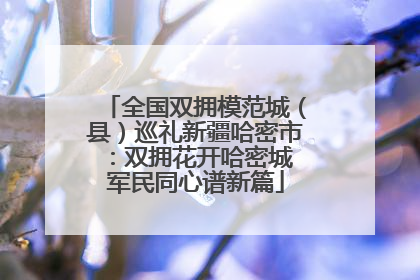 全国双拥模范城（县）巡礼新疆哈密市：双拥花开哈密城 军民同心谱新篇