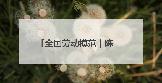 全国劳动模范｜陈一文：用心跑好每一单 用爱回馈这座城
