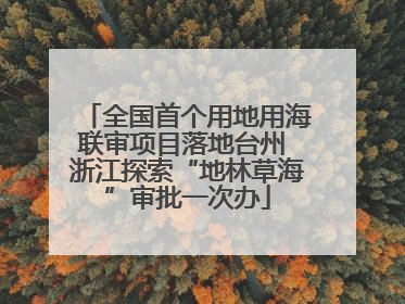 全国首个用地用海联审项目落地台州 浙江探索“地林草海”审批一次办
