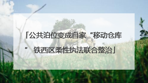 公共泊位变成自家“移动仓库” 铁西区柔性执法联合整治