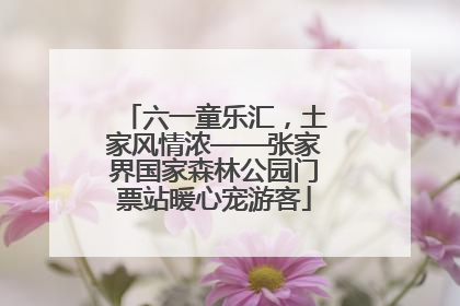 六一童乐汇，土家风情浓——张家界国家森林公园门票站暖心宠游客