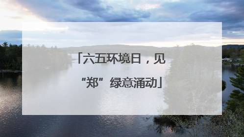 六五环境日，见“郑”绿意涌动