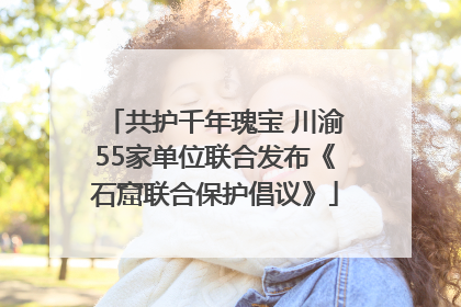 共护千年瑰宝 川渝55家单位联合发布《石窟联合保护倡议》