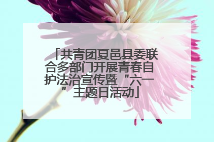 共青团夏邑县委联合多部门开展青春自护法治宣传暨“六一”主题日活动