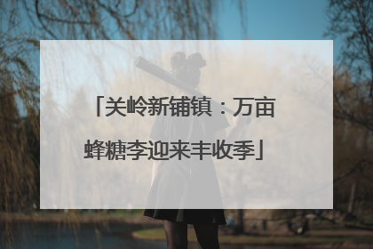 关岭新铺镇：万亩蜂糖李迎来丰收季