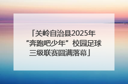 关岭自治县2025年“奔跑吧少年”校园足球三级联赛圆满落幕