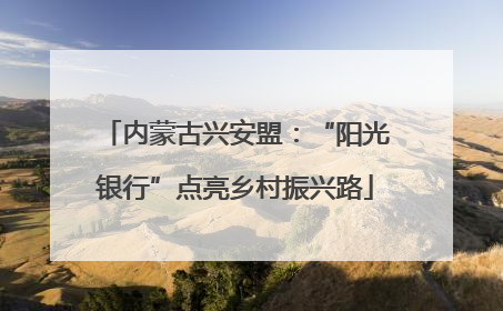 内蒙古兴安盟：“阳光银行”点亮乡村振兴路